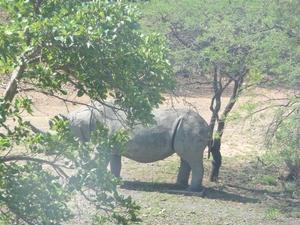 20091128 15u41 Zuid-Afrika 113