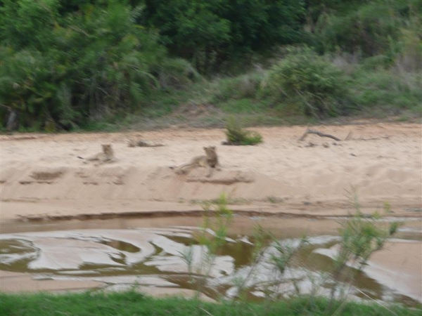 20091128 18u00 Zuid-Afrika 159