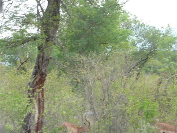 20091128 18u24 Zuid-Afrika 143