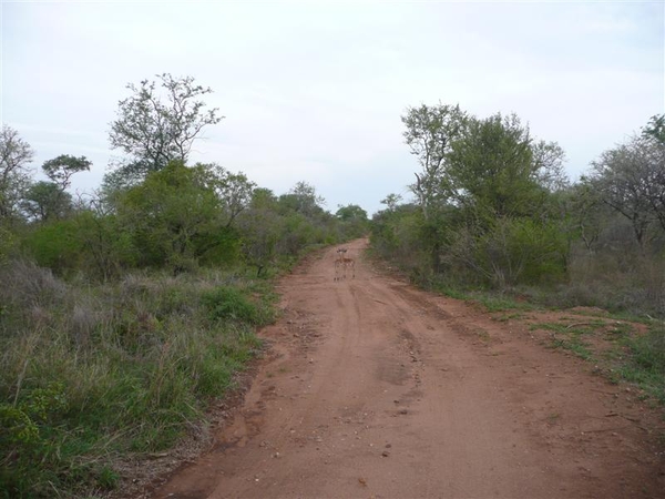 20091128 18u38 Zuid-Afrika 148