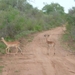 20091128 18u38 Zuid-Afrika 149