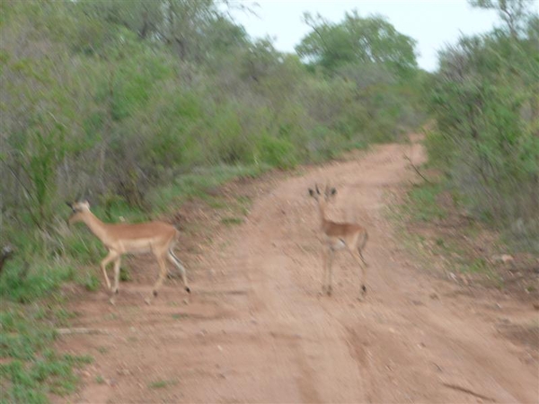 20091128 18u38 Zuid-Afrika 149