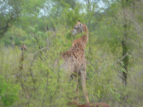 20091128 18u24 Zuid-Afrika 145