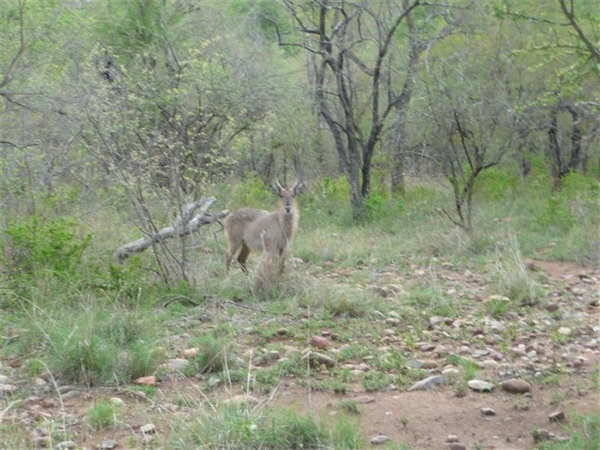 20091128 18u58 Zuid-Afrika 156