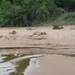 20091128 19u05 Zuid-Afrika 161