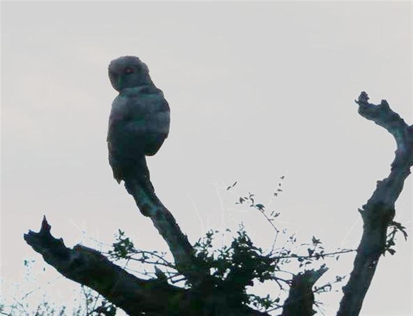 20091128 19u29 Zuid-Afrika 165