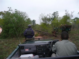 20091129 05u48 Zuid-Afrika 192 olifabntenravage