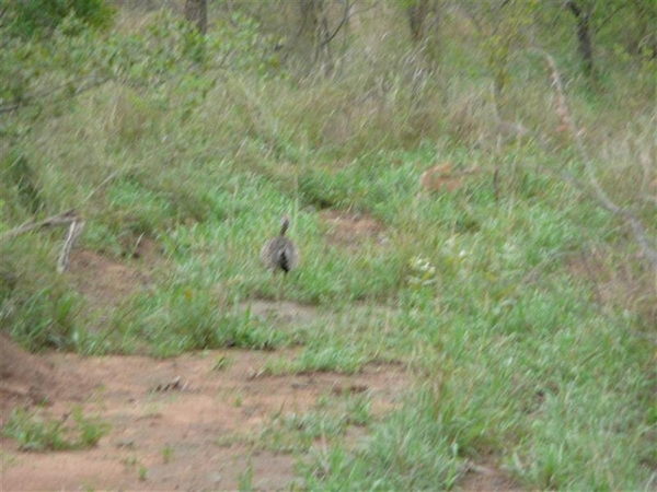 20091129 07u09 Zuid-Afrika 196