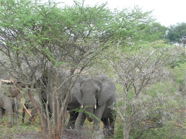 20091129 07u39 Zuid-Afrika 205