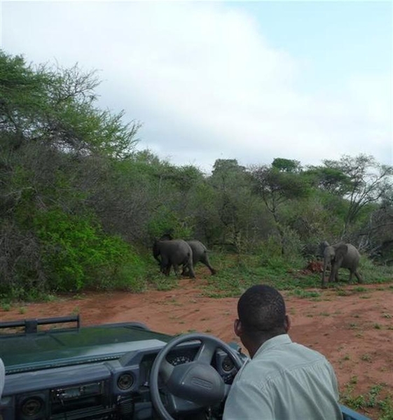 20091129 07u48 Zuid-Afrika 221