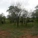 20091129 16u38 Zuid-Afrika 229