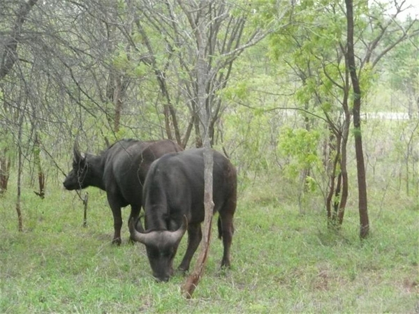 20091129 16u38 Zuid-Afrika 230