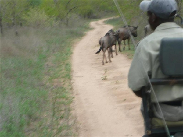 20091129 17u23 Zuid-Afrika 237