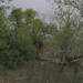 20091129 19u34 Zuid-Afrika 253