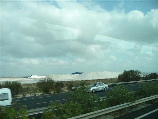 20090915 Barrosa Garden 064