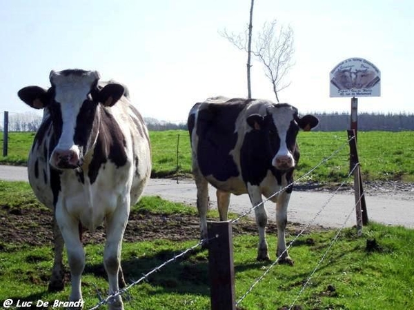 marche wandeling Philippeville Ardennes