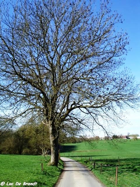 marche wandeling Philippeville Ardennes