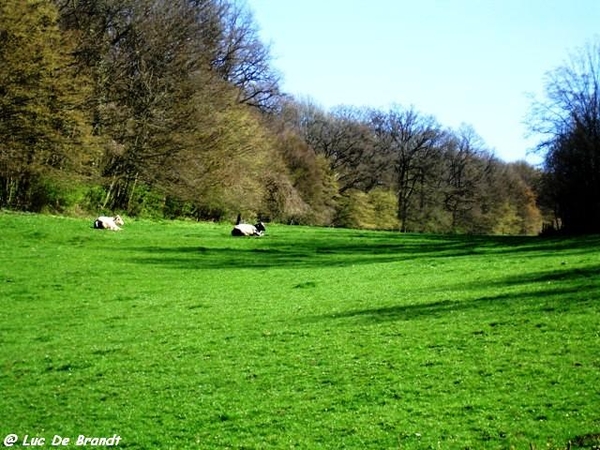 marche wandeling Philippeville Ardennes