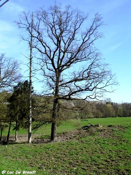 marche wandeling Philippeville Ardennes