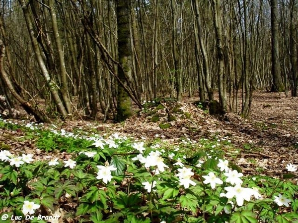 marche wandeling Philippeville Ardennes