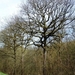 2011_04_02 Philippeville 77