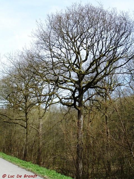 marche wandeling Philippeville Ardennes