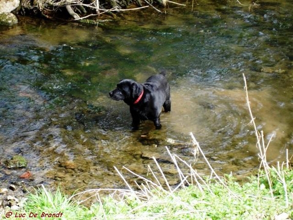 marche wandeling Philippeville Ardennes