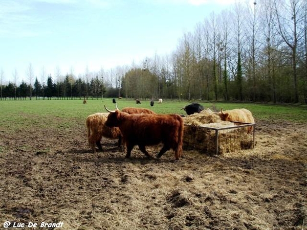 marche wandeling Philippeville Ardennes