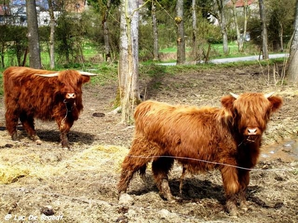 marche wandeling Philippeville Ardennes