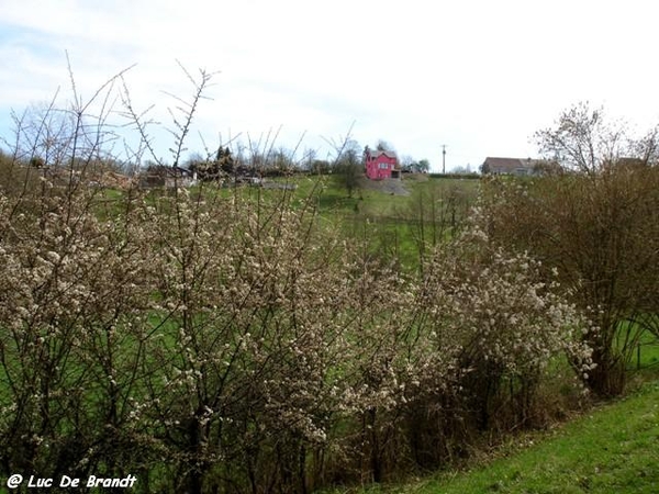 marche wandeling Philippeville Ardennes