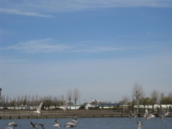 2011-04-02 pia verjaardag aan zee 095
