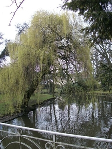 11-Frans Tochtpark met Braemkasteel