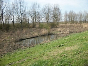 66-Overstromingsbekken v.de Schelde