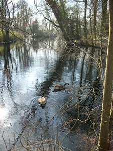 86-Zalig genieten van zon en water...