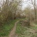 Wortegem maart 2011 006