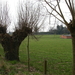 Wortegem maart 2011 007
