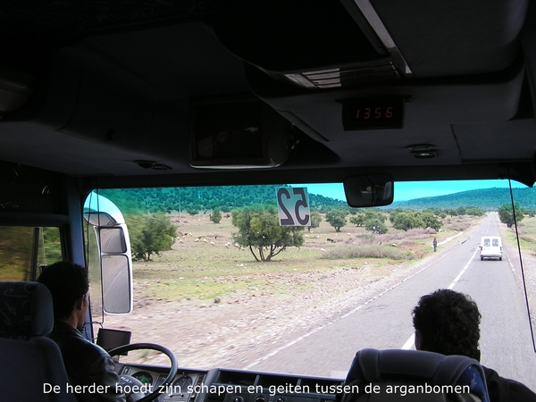 Herder met zijn grazende geiten langs de weg