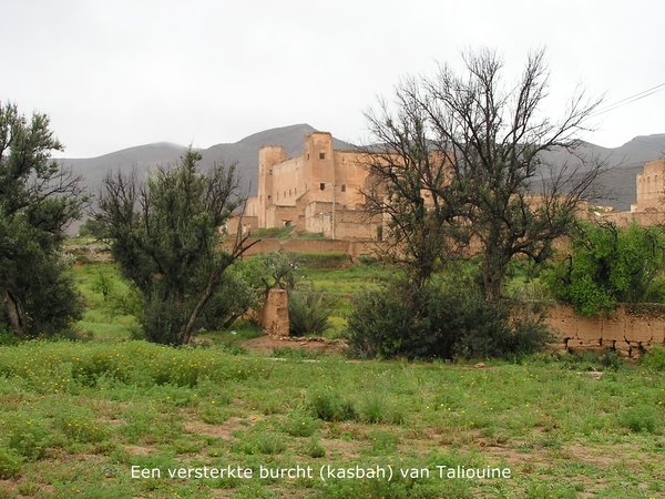Kasbah te Talouine
