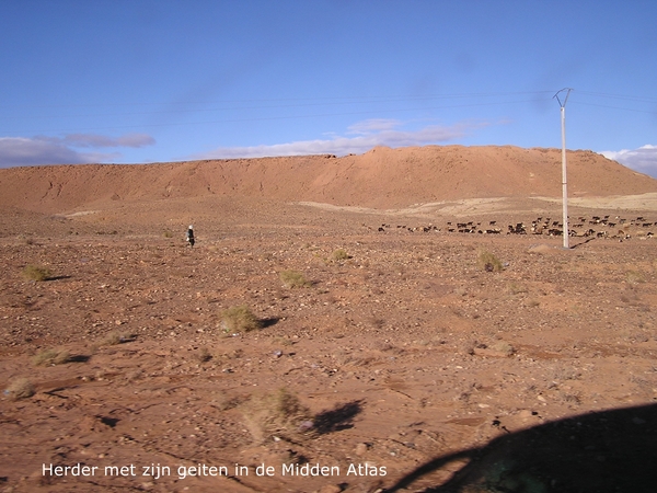 Een eenzame herder in een desolaat en toch fascinerend landschap