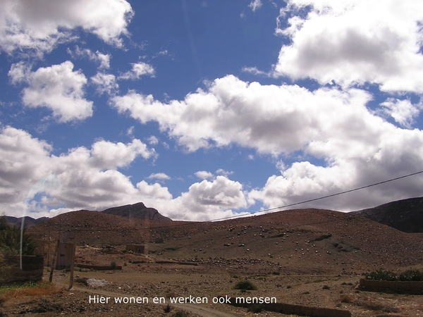 Desolaat landschap en toch is er leven