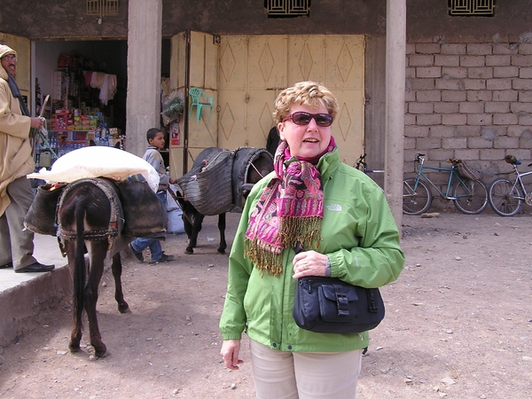 Een ezel wacht om uw gekochte koopwaar thuis te brengen