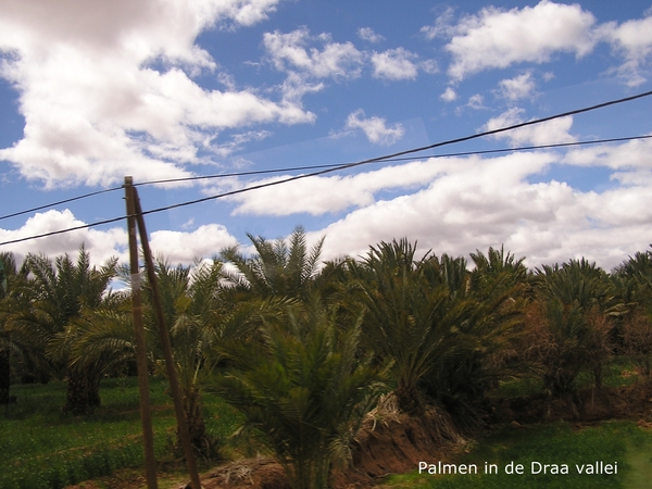 Naar Zagora via de Draavalei met haar palmen
