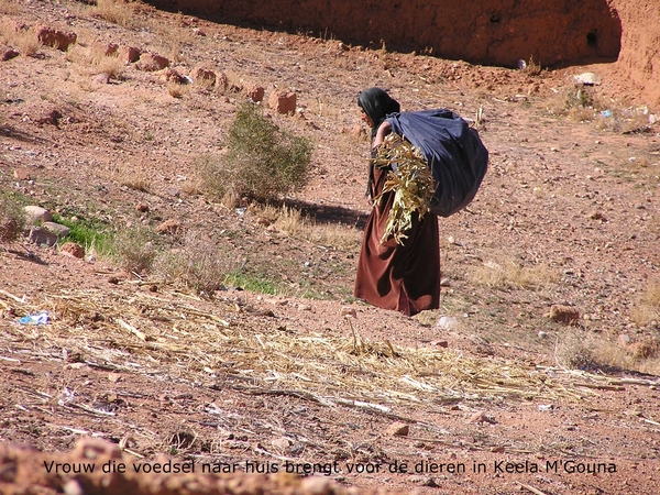 Een vrouw brengt eten naar huis voor de schapen/geiten