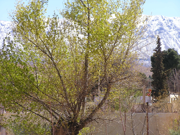 Midelt en de Hoge Atlas