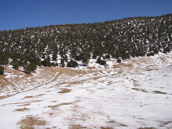 Op weg naar de Col du Zad N13