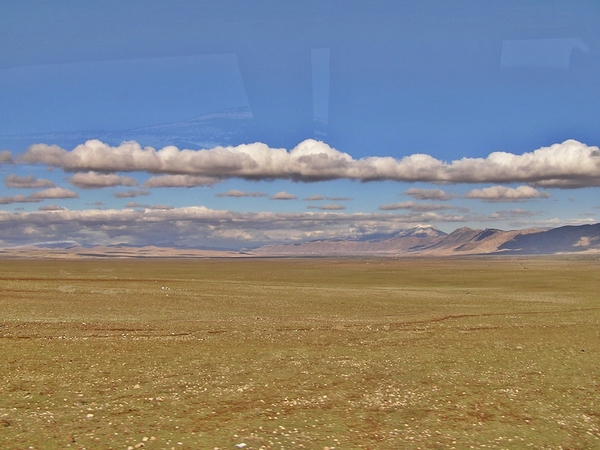 Langzaam wordt alles groener