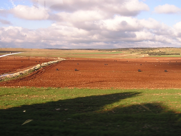 Meer en meer landbouw en weiden