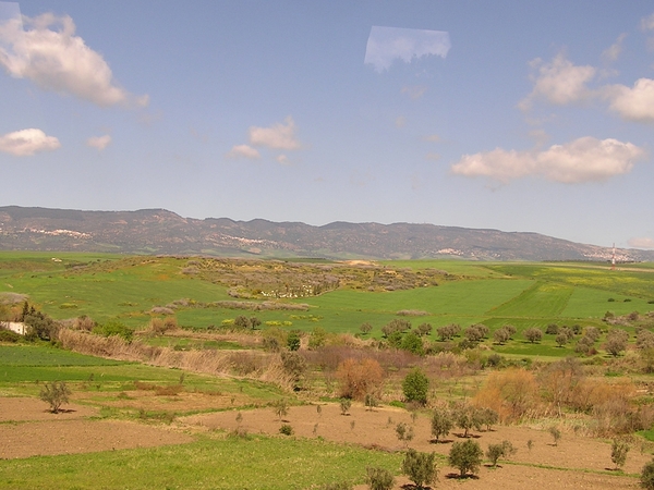 Een zicht op de mooie landbouwstreek voor Volubilis