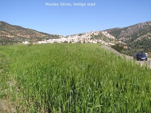 De heilige stad Moulay Idriss