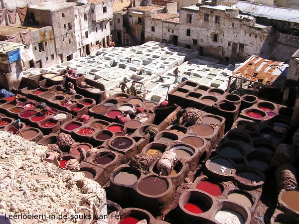 Leerlooierij. Verven van het leder.